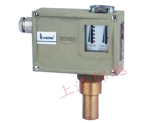 防爆壓力控制器  D505/7D、D505/7DK