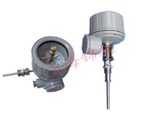 隔爆電接點雙金屬溫度計 WSSX-482B